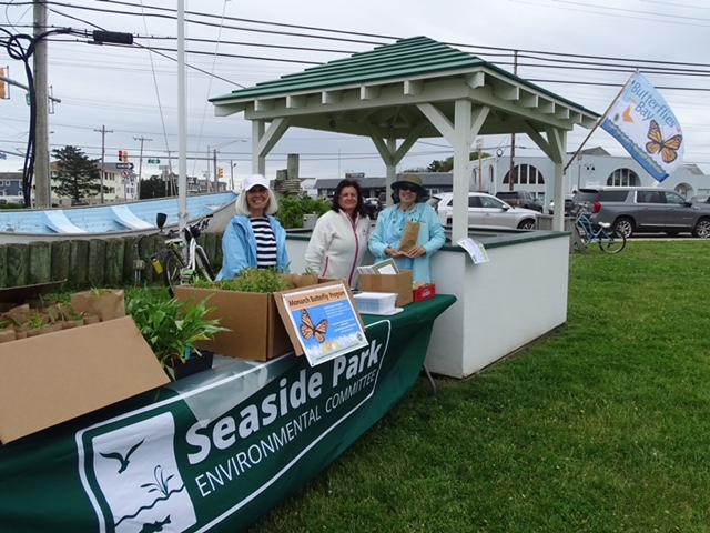Three individuals stand beside a table adorned with various plants